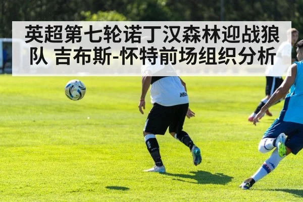 英超第七轮诺丁汉森林迎战狼队 吉布斯-怀特前场组织分析 | kaiyun